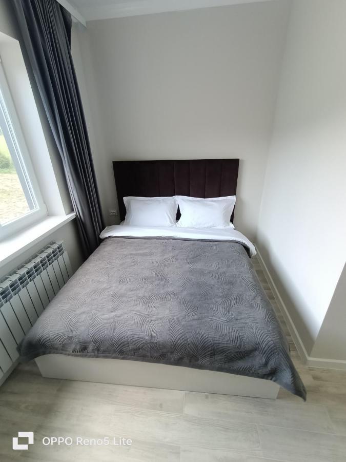 Hotel Kolsay Eki Agayindy Kurmenty Buitenkant foto